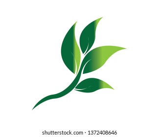 Tree Leaf vector logo design, eco-friendly concept - Vector
