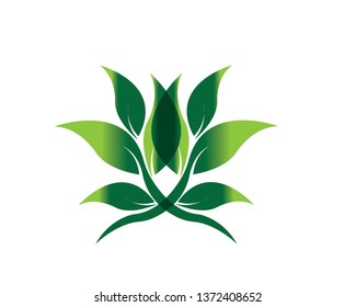 Tree Leaf vector logo design, eco-friendly concept - Vector
