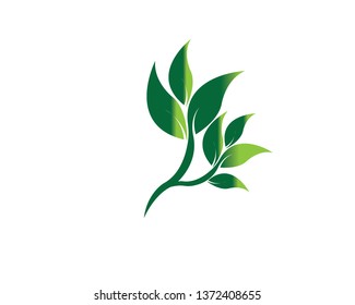 Tree Leaf vector logo design, eco-friendly concept - Vector
