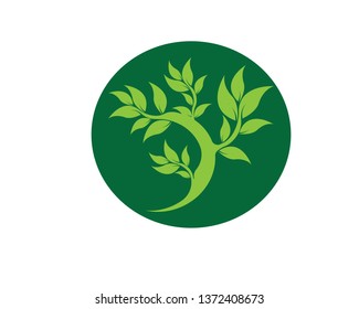 Tree Leaf vector logo design, eco-friendly concept - Vector
