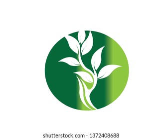 Tree Leaf vector logo design, eco-friendly concept - Vector
