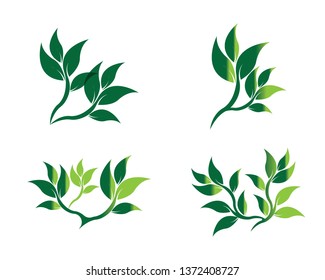 Tree Leaf vector logo design, eco-friendly concept - Vector
