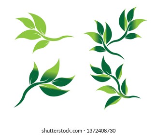 Tree Leaf vector logo design, eco-friendly concept - Vector
