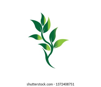 Tree Leaf vector logo design, eco-friendly concept - Vector
