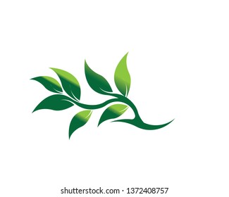 Tree Leaf vector logo design, eco-friendly concept - Vector
