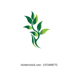 Tree Leaf vector logo design, eco-friendly concept - Vector
