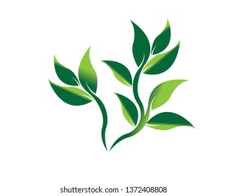 Tree Leaf vector logo design, eco-friendly concept - Vector
