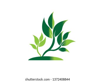 Tree Leaf vector logo design, eco-friendly concept - Vector
