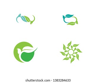 Tree leaf vector logo design, eco-friendly concept.

