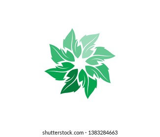 Tree leaf vector logo design, eco-friendly concept.
