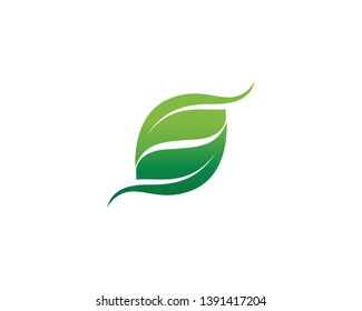 Tree leaf vector logo design, eco-friendly concept.
