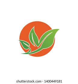 Tree leaf vector logo design, eco-friendly concept.
