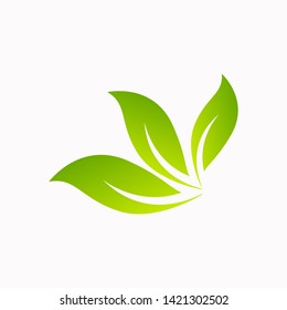 Tree leaf vector logo design, eco-friendly concept.