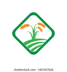 Tree leaf vector logo design, eco-friendly concept