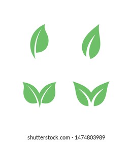 Tree leaf vector logo design, eco-friendly concept.
