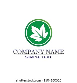 Tree leaf vector logo design, eco-friendly concept.
