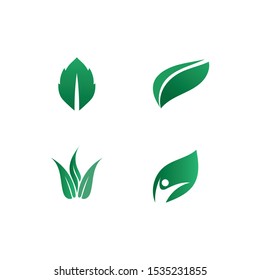 Tree leaf vector logo design eco friendly concept