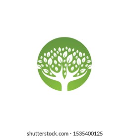 Tree leaf vector logo design, eco-friendly concept