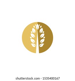 Tree leaf vector logo design, eco-friendly concept