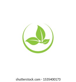 Tree leaf vector logo design, eco-friendly concept