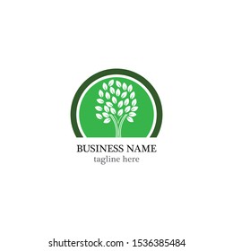 Tree leaf vector logo design, eco-friendly concept