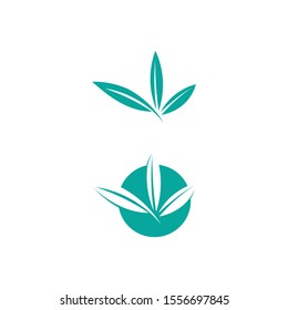 Tree leaf vector logo design eco friendly concept