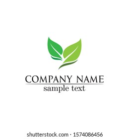 Tree leaf vector logo design eco friendly concept