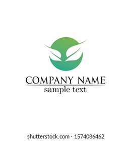 Tree leaf vector logo design eco friendly concept