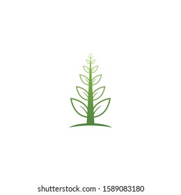 Tree leaf vector logo design, eco-friendly concept