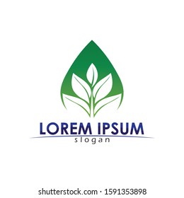 Tree leaf vector logo design eco friendly concept