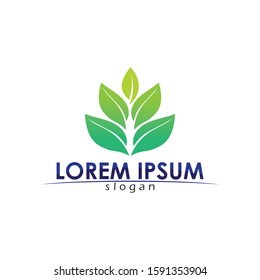 Tree leaf vector logo design eco friendly concept