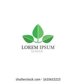 Tree leaf vector logo design eco friendly concept