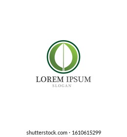 Tree leaf vector logo design eco friendly concept