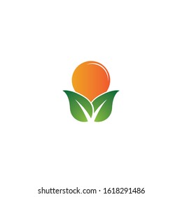 Tree leaf vector logo design, eco-friendly concept