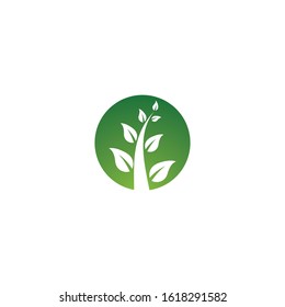 Tree leaf vector logo design, eco-friendly concept