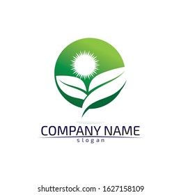Tree leaf vector logo design eco friendly concept