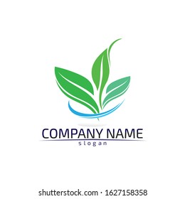 Tree leaf vector logo design eco friendly concept