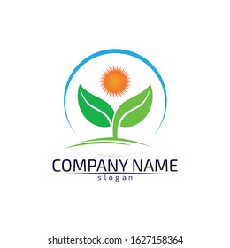 Tree leaf vector logo design eco friendly concept