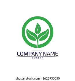 Tree leaf vector logo design eco friendly concept