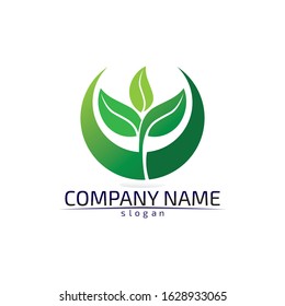 Tree leaf vector logo design eco friendly concept