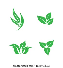 Tree leaf vector logo design eco friendly concept