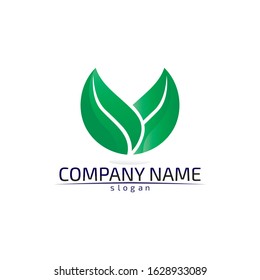 Tree leaf vector logo design eco friendly concept
