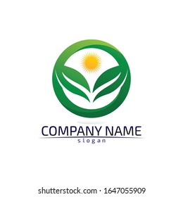 Tree leaf vector logo design eco friendly concept