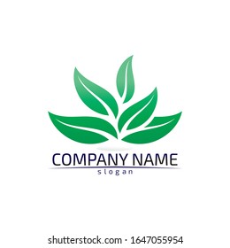Tree leaf vector logo design eco friendly concept