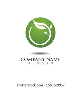 Tree leaf vector logo design eco friendly concept