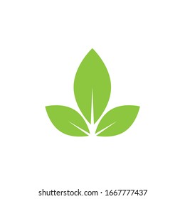 Tree Leaf Vector Logo Design Eco