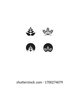 Tree leaf vector logo design, eco-friendly concept