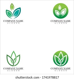 Tree leaf vector logo design, eco-friendly concept