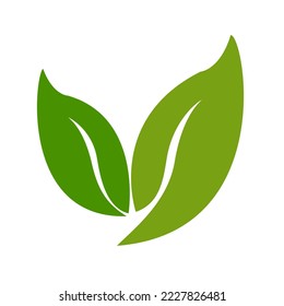 tree leaf vector logo design environmental conservation concept use for posters flyers brochures illustrations articles beauty massage parlors