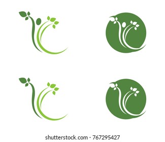 Tree leaf vector logo design, eco-friendly concept